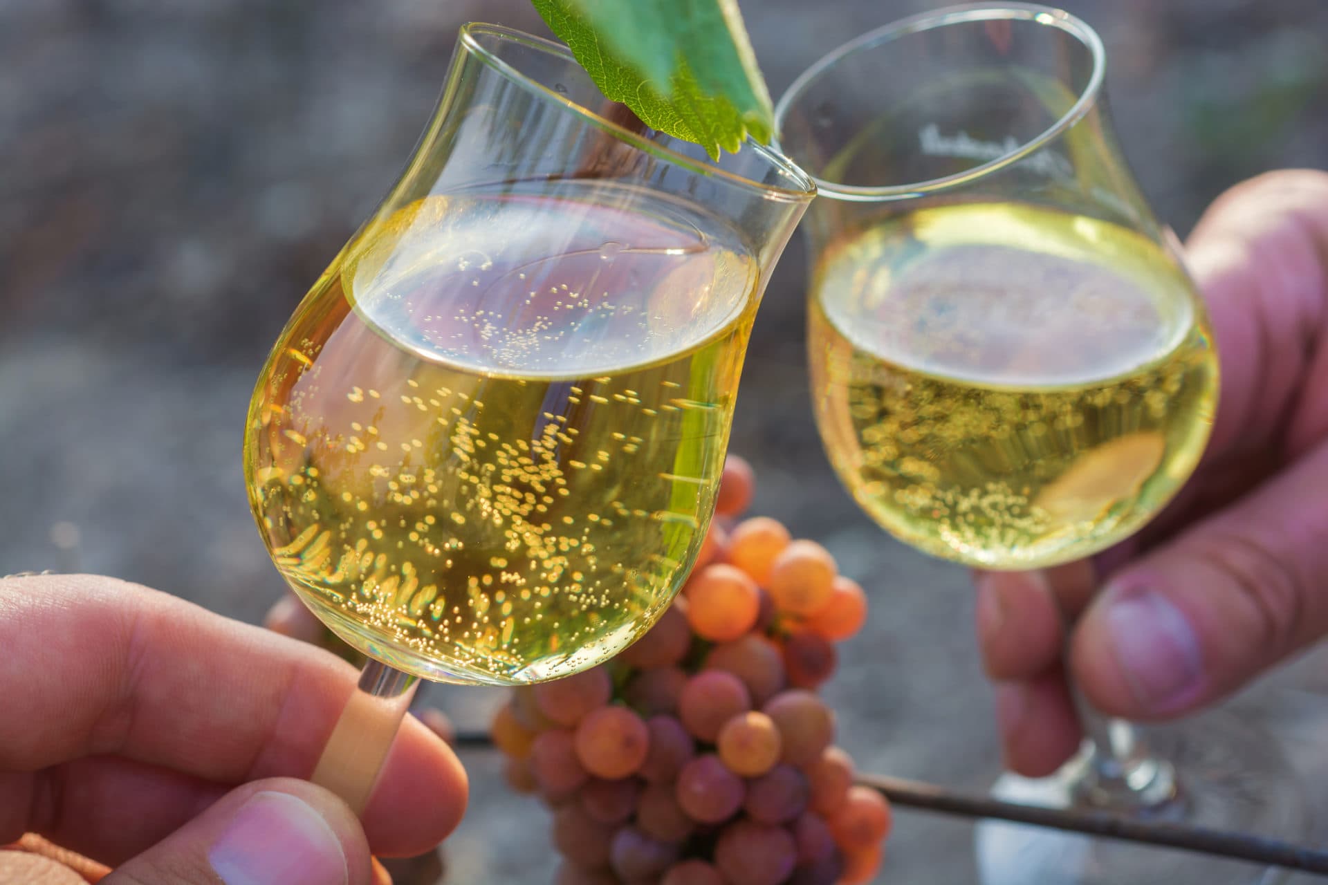 Gewürztraminer Wein
