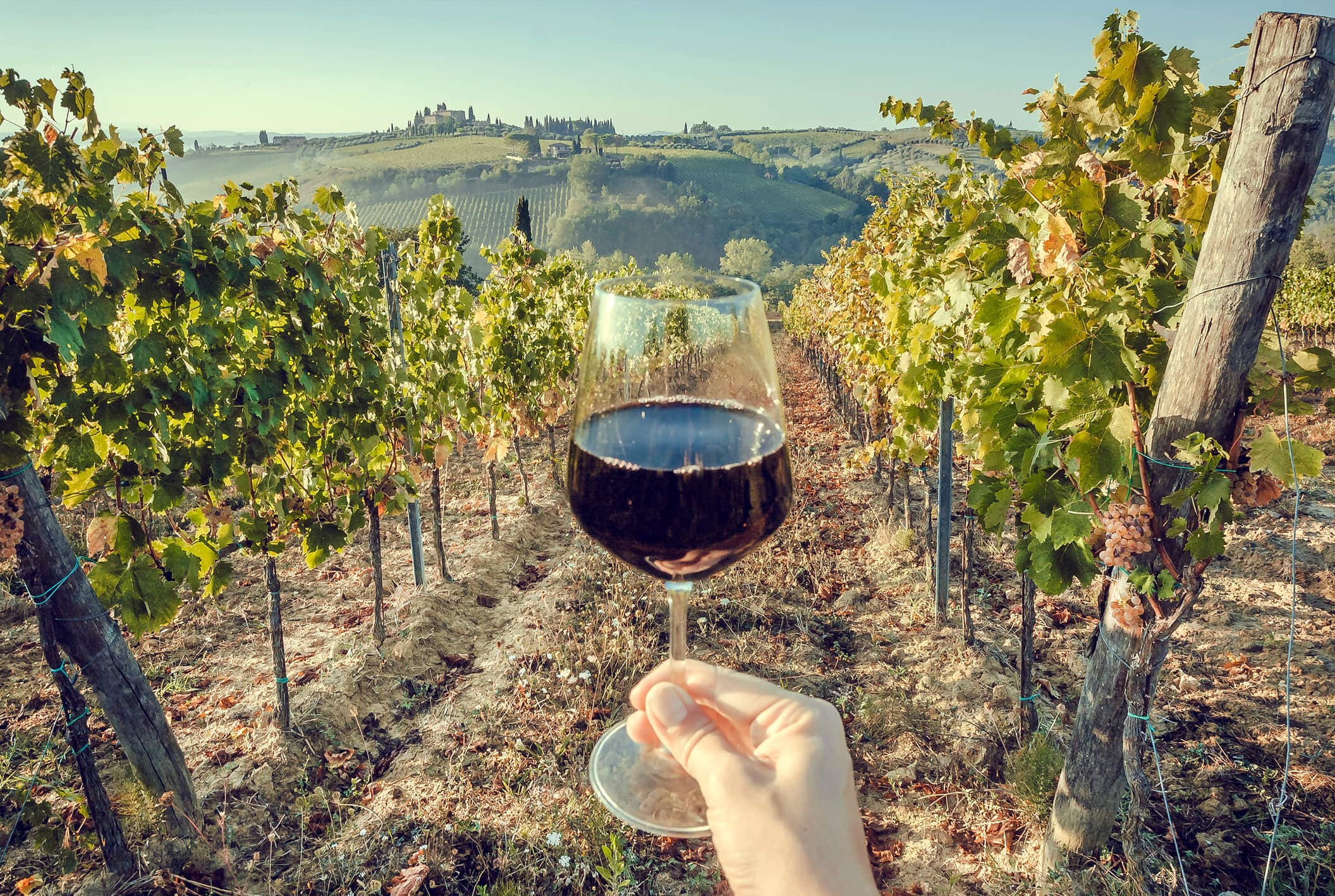 Ein Rotweinglas vor einem Weinberg