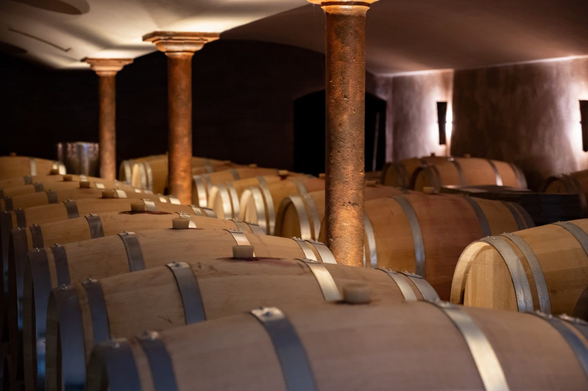 Bobal Wein Weinkeller
