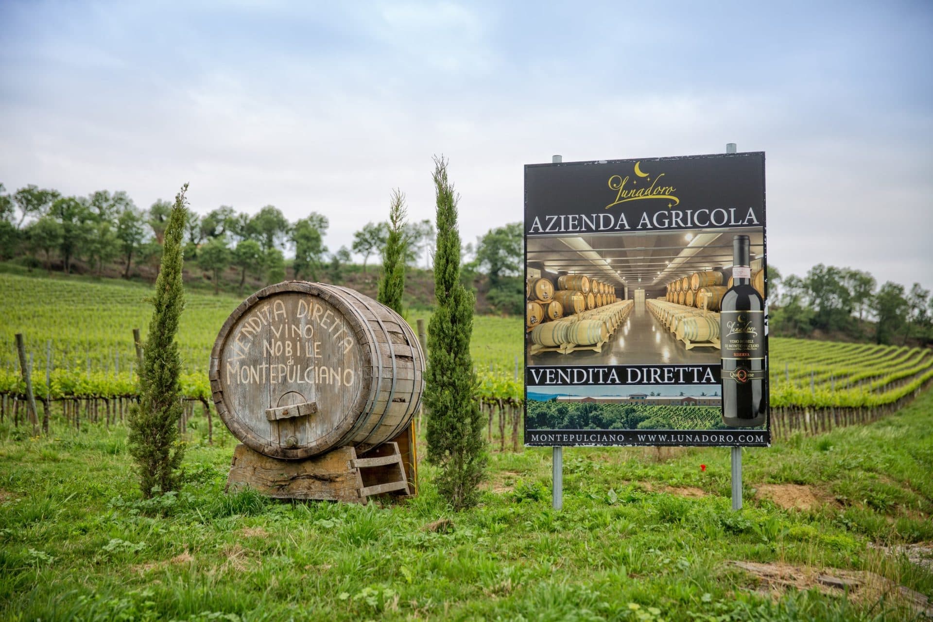 Montepulciano Wein