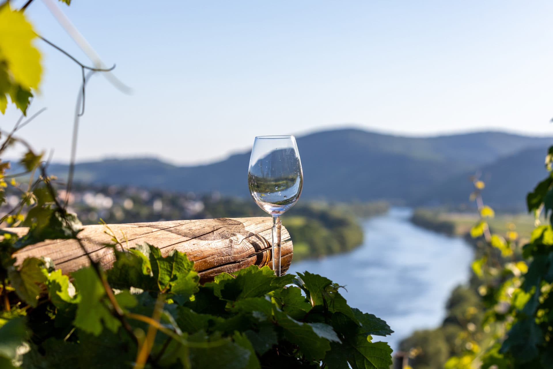 Ortega Weinberg mit einem Weinglas