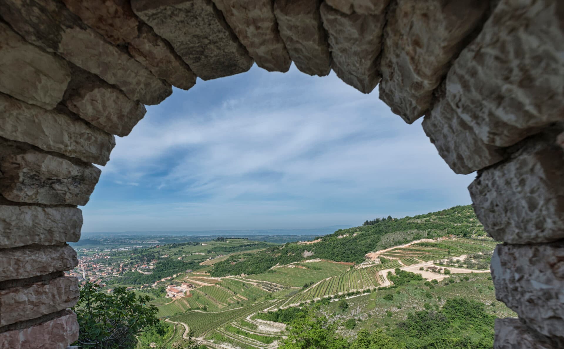 Lugana Weinberg Gardasee