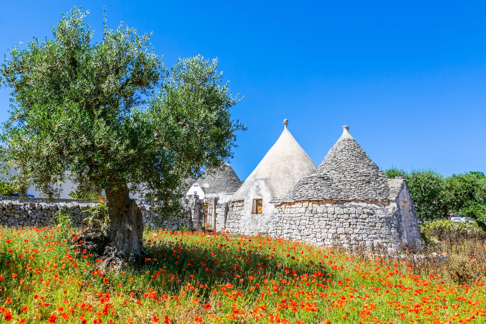 Trulli Haus in Apulien