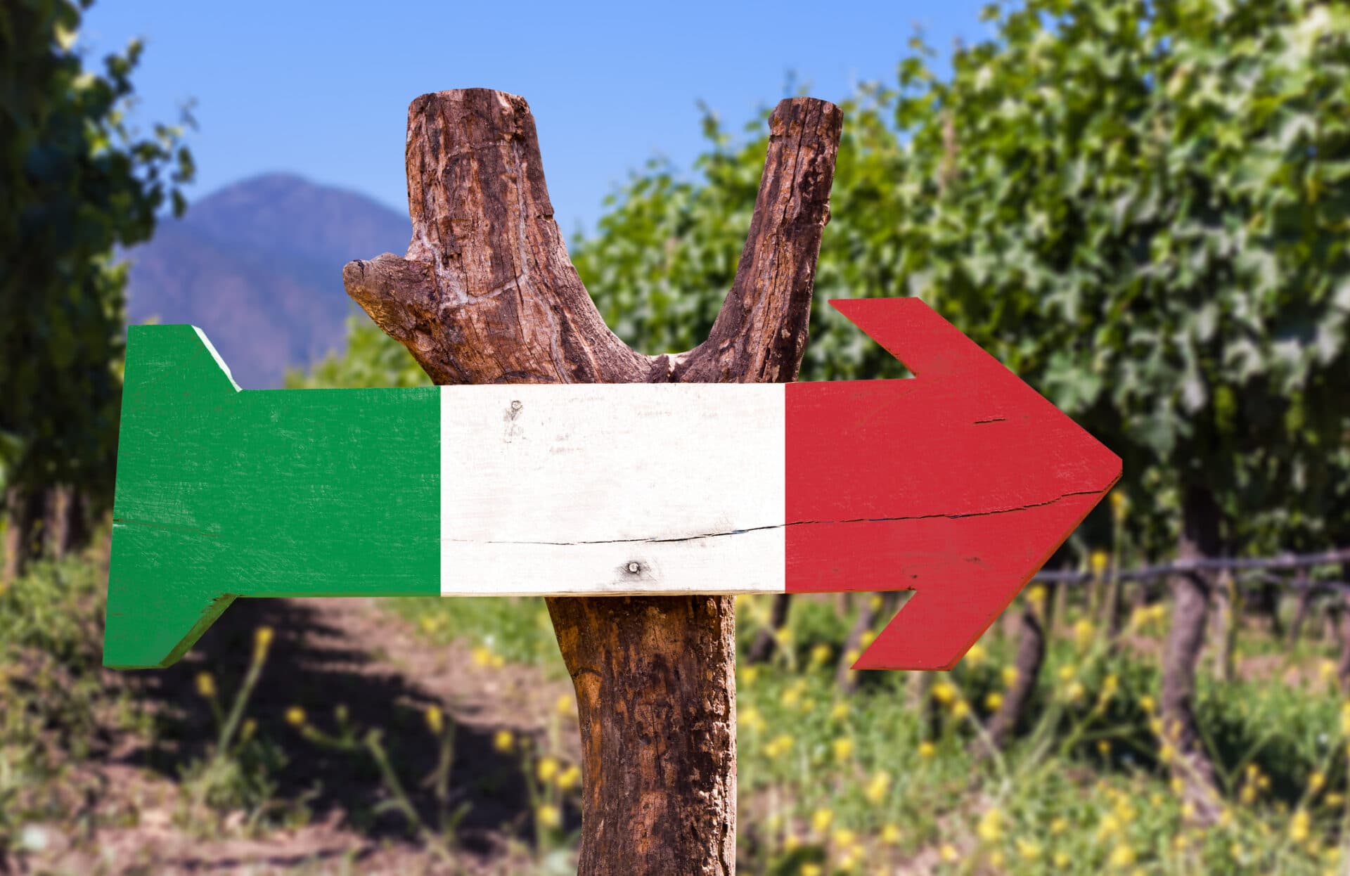 Weinland Italien