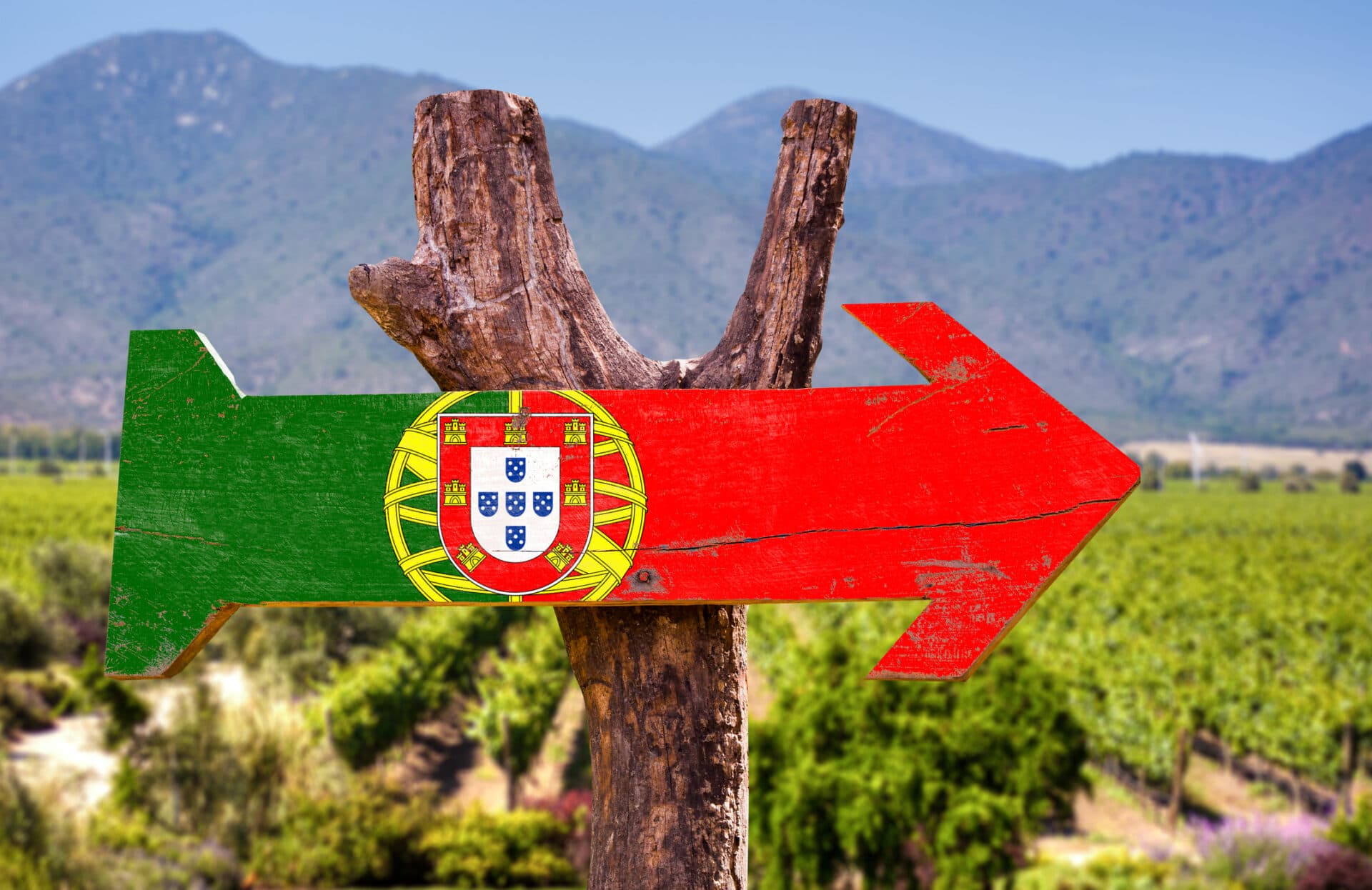 Weinland Portugal