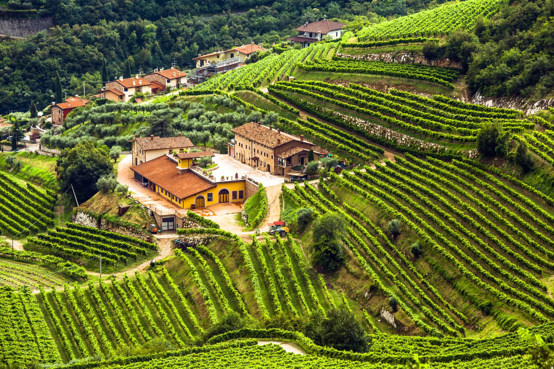 Weingut Valpolicella