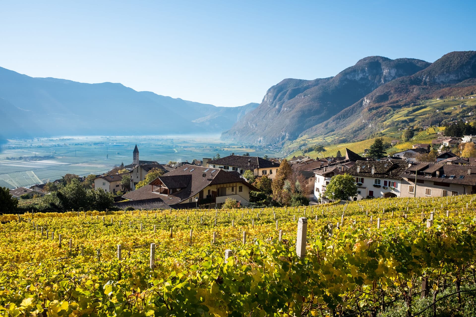 Weinstraße Südtirol Cotaccia Kurtatsch