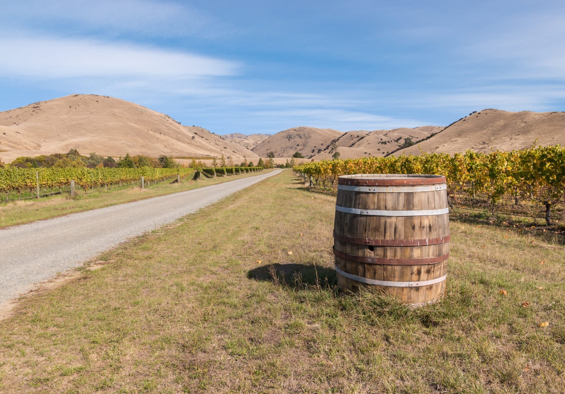 Weinfass und Weinberg in Marlborough