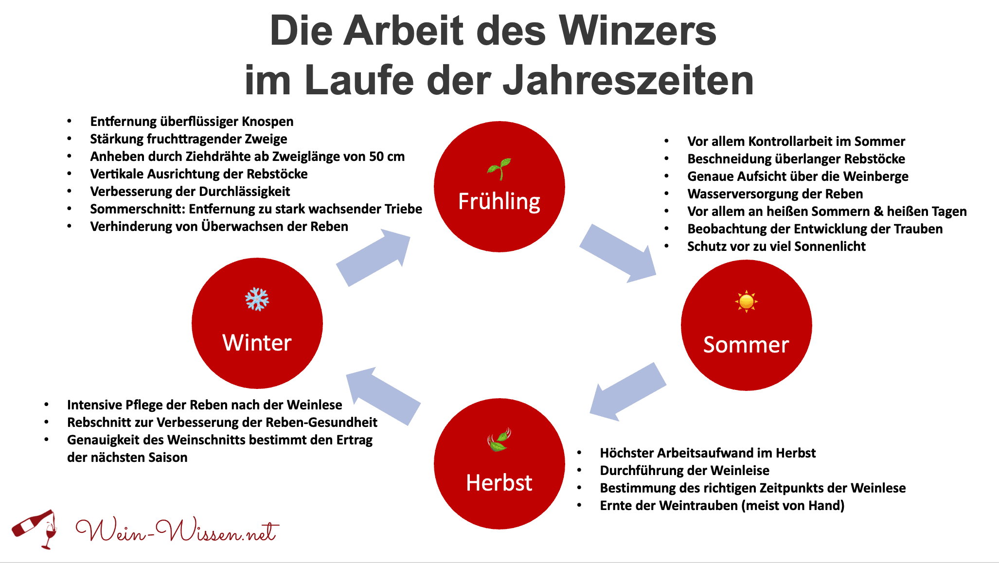 Die Arbeit des Winzers im Laufe der Jahreszeiten
