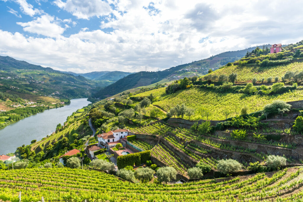 Weinberge Landschaft des Douro Fluss