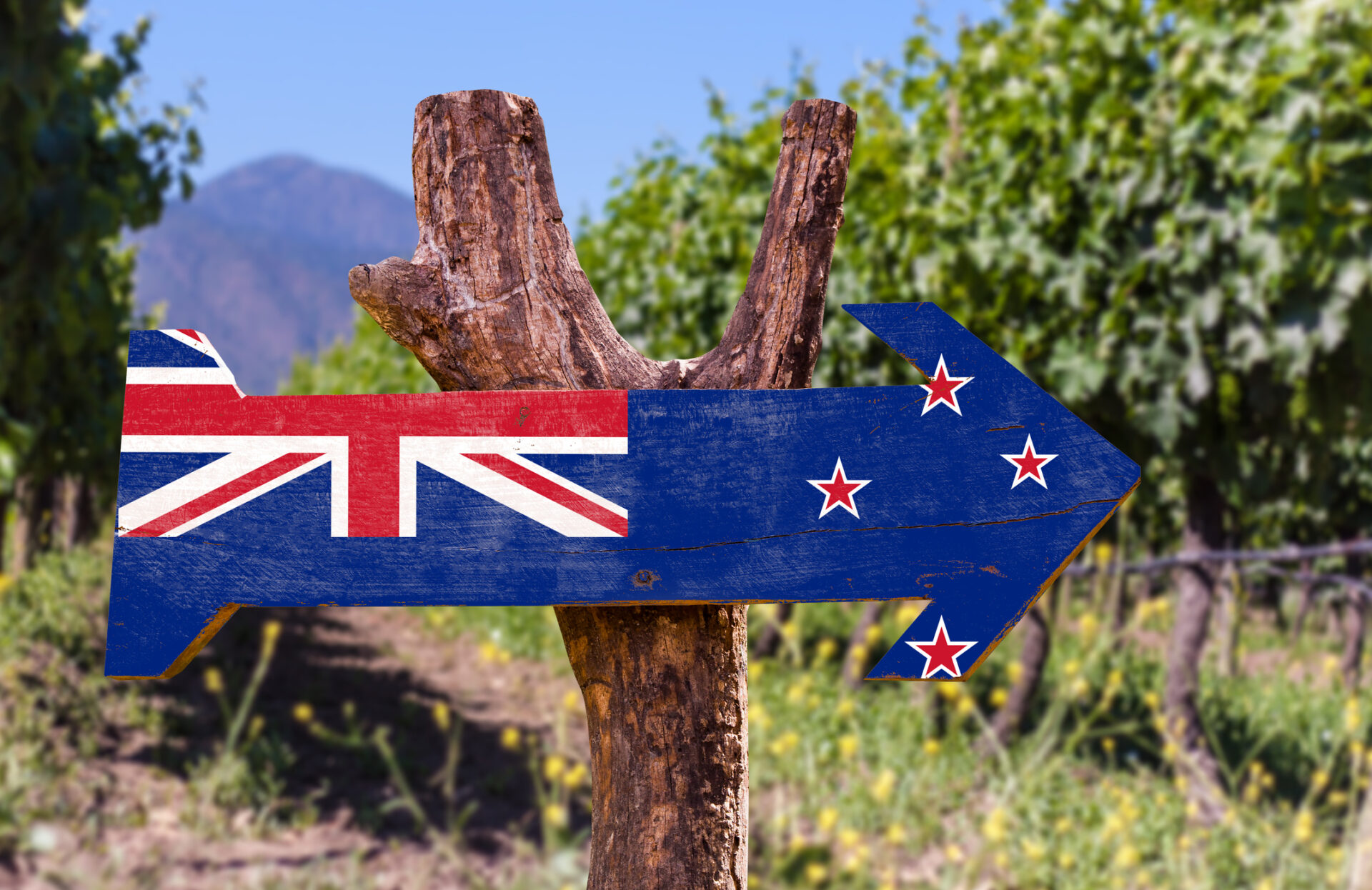 Wein aus Neuseeland
