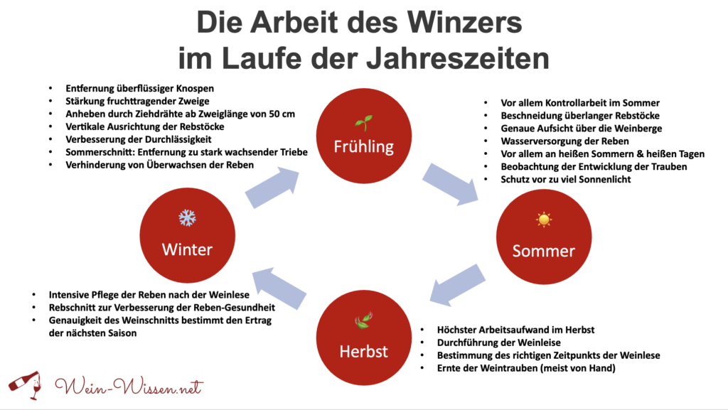 Die Arbeit des Winzers im Laufe der Jahreszeiten